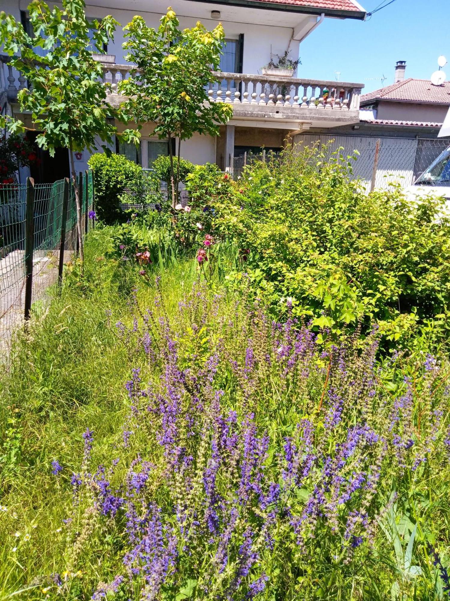Rosalie Cottage Beaurepaire  Exterior photo
