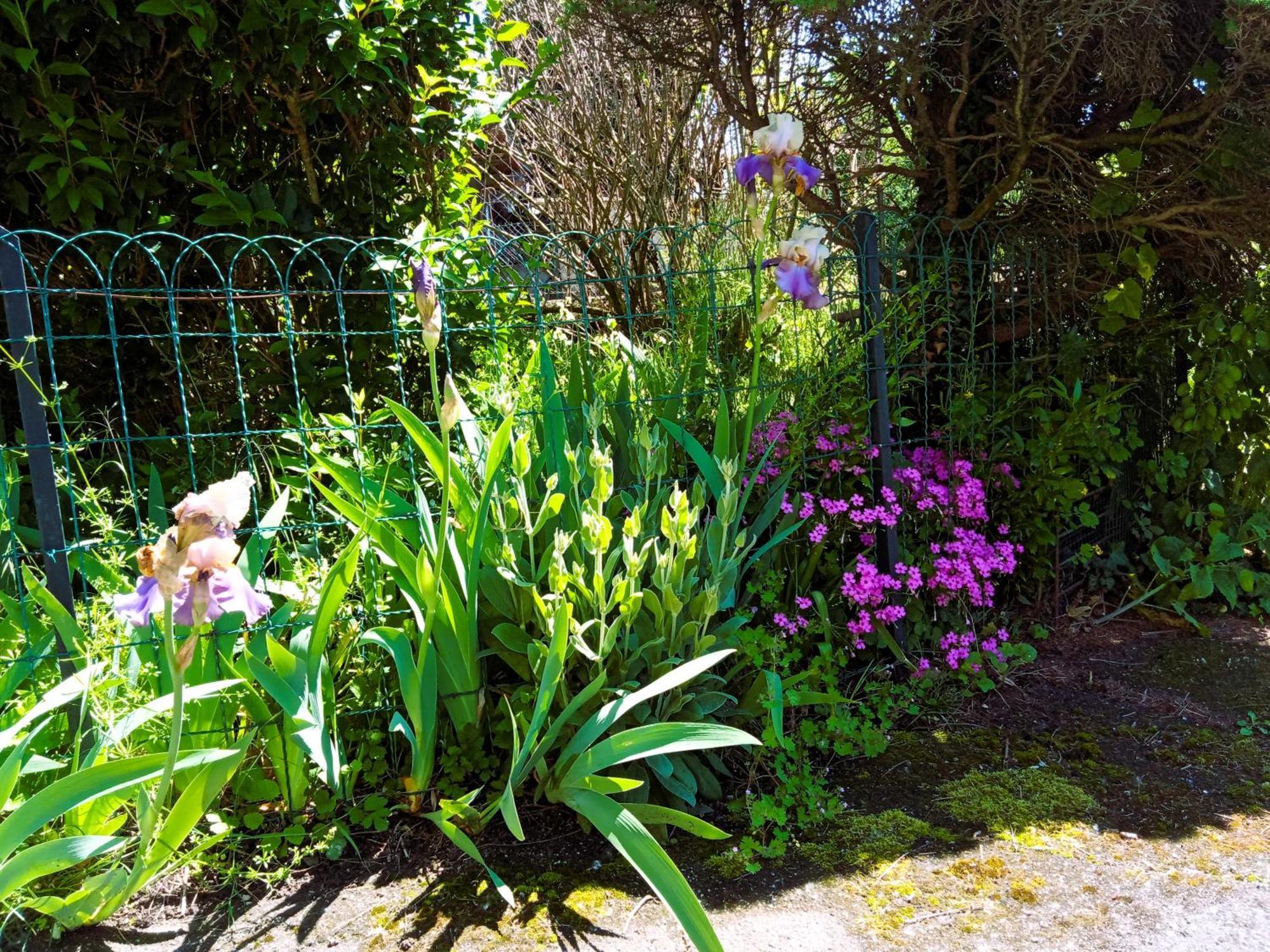 Rosalie Cottage Beaurepaire  Exterior photo